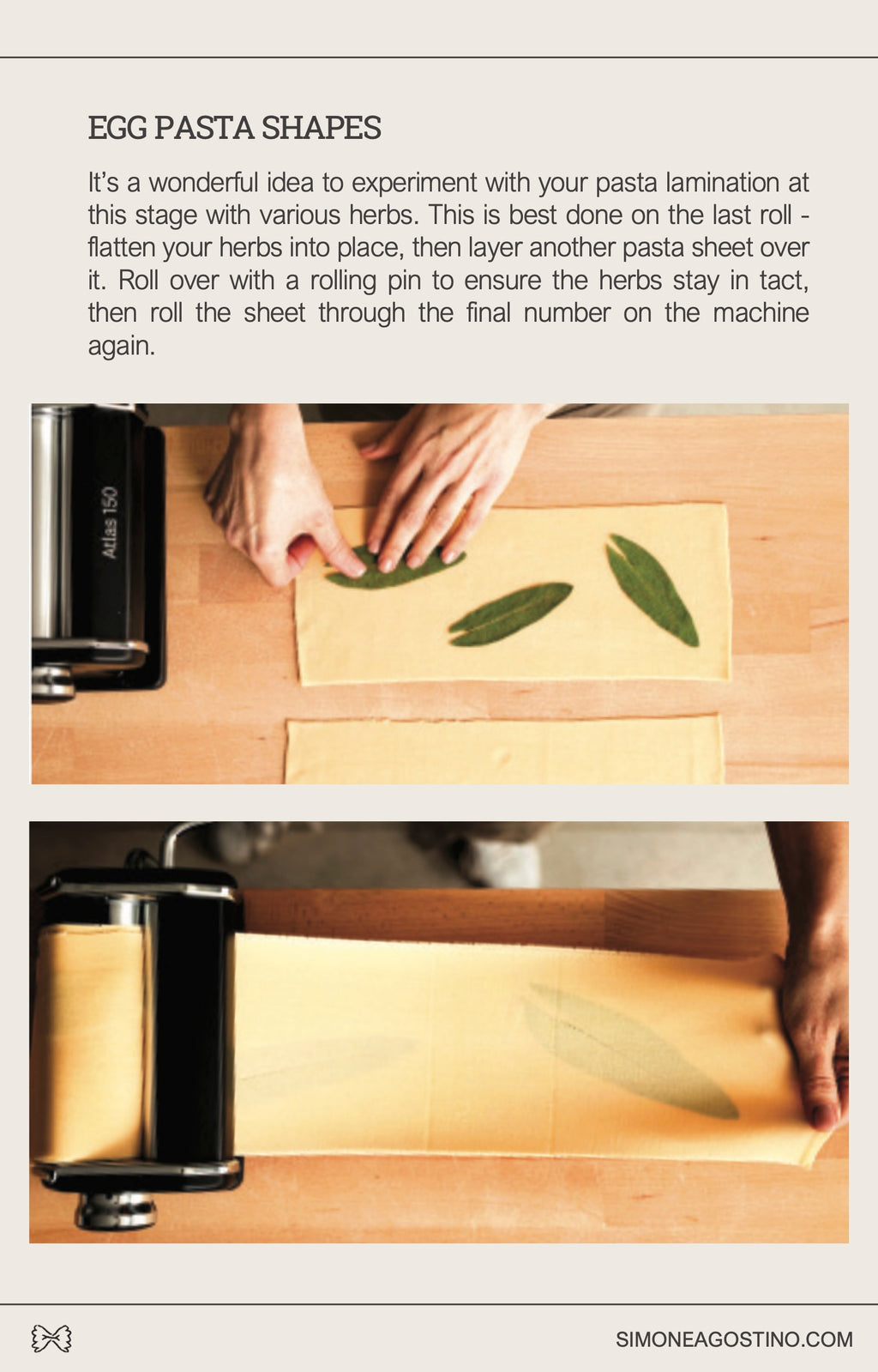 Fresh Pasta Made Simple | Digital Guide + Recipes