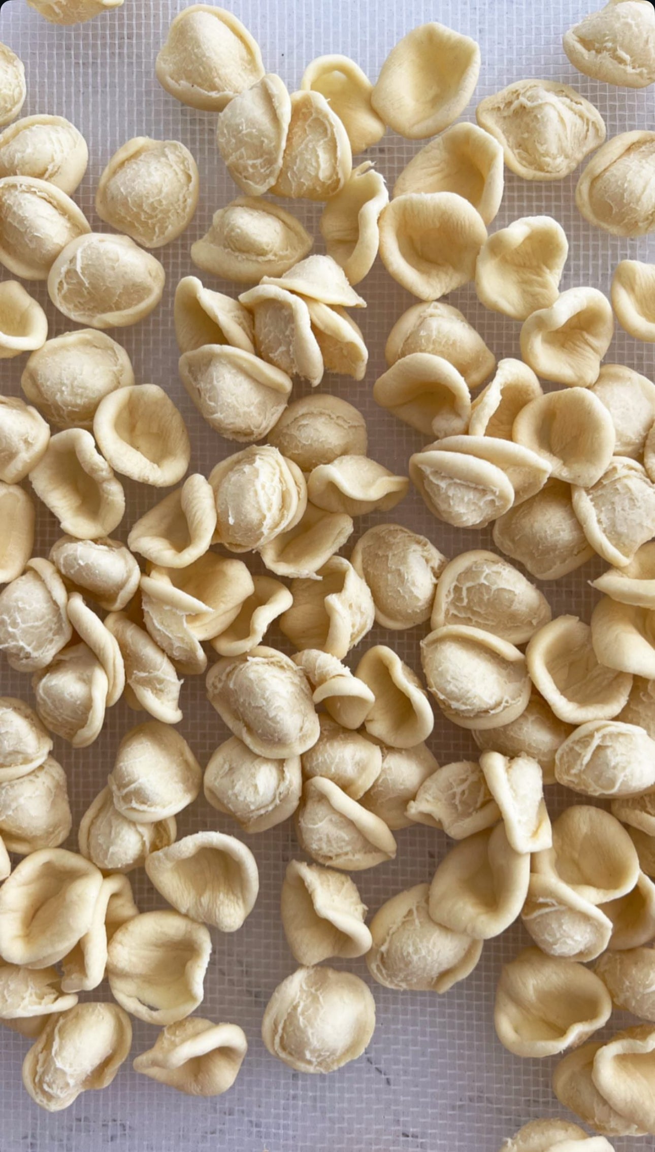 Orecchiette with Spicy Sausage Ragu – Sunday 22 March 2026 | Semolina Pasta Workshop, Perth